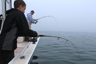 A Saturday for Cape Cod Stripers! - June 14, 2014