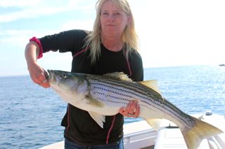 A Saturday for Cape Cod Stripers! - June 14, 2014
