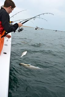 Reel Deal Fishing with Captain Bobby Rice - August 2, 2014