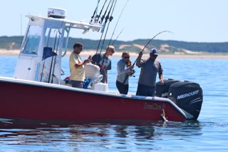 Great Days on Cape Cod Waters - August 19, 2014