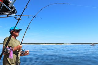 Great Days on Cape Cod Waters - August 19, 2014