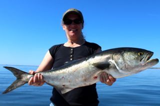 Great Days on Cape Cod Waters - August 19, 2014