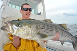 Cape Cod Fishing Update! - June 19, 2014
