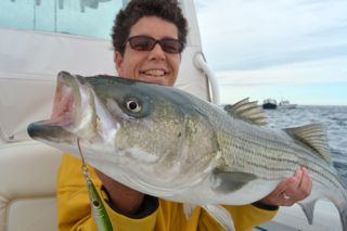 Cape Cod Fishing Update! - June 19, 2014