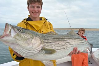 Cape Cod Family Fun! - June 10, 2014