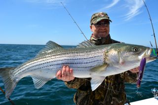 Phenomenal Cape Cod Striper Action - May 31, 2014