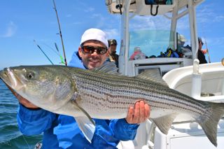 Phenomenal Cape Cod Striper Action - May 31, 2014