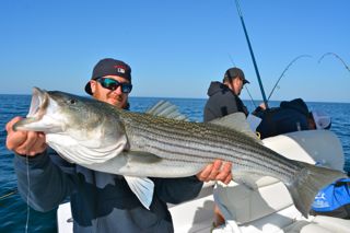 Light Tackle Striped Bass Fishing Action! - June 3, 2014