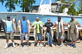 Light Tackle Striped Bass Fishing Action! - June 3, 2014