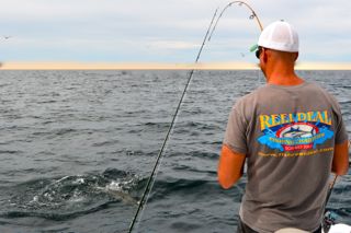 Cape Cod Striped Bass Fishing Report - June 9, 2014