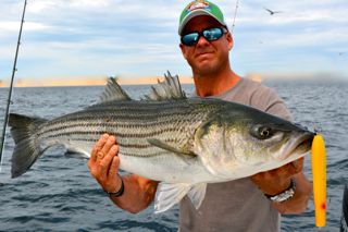 Cape Cod Striped Bass Fishing Report - June 9, 2014
