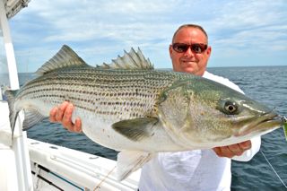 Cape Cod Striped Bass Fishing Report - June 9, 2014