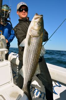 The Striped Bass Are Blitzin'! - June 7, 2014
