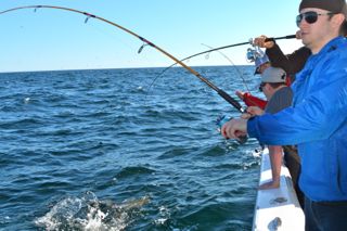 Striped Bass Sh*t Show! - June 7, 2014