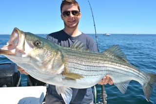 The Striped Bass Are Blitzin'! - June 7, 2014