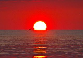 Beautiful Ocean Sunrise - August 11, 2014