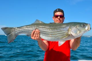 Charter Fishing Cape Cod - July 12, 2014