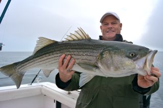 Bass Are Hungry For Daddy Mac Lures - June 5, 2014