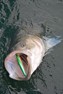 Rainy Day? Go Fishing! - June 5, 2014