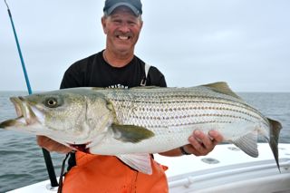 Cape Cod Fishing Report - June 26, 2014
