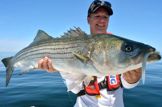RonZ Striped Bass Fishing - June 8, 2014