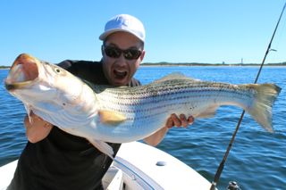 Light Tackle Striped Bassin! - June 24, 2014