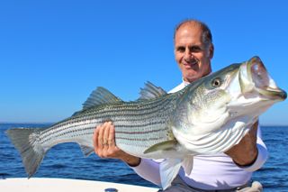 Fall Cape Cod Bass Fishing - September 27, 2014