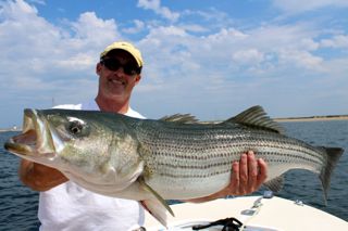 Charter Fishing Provincetown - August 17, 2014