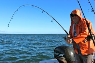 Reel Deal Fishing Update - August 29, 2014