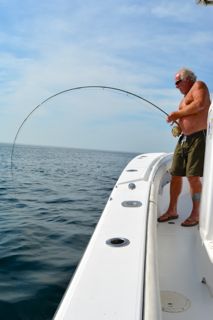 Light Tackle Striped Bass Fishing - May 26, 2014