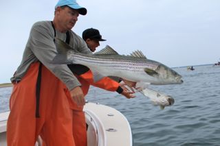 Fishing Massachusetts! - August 2, 2014
