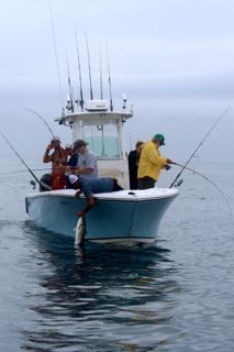 Mercury Marine Pro Team Fishing! - July 4, 2014