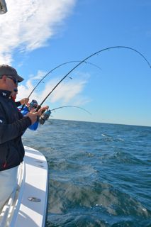 Light Tackle Bass Bite Continues! - October 5, 2014