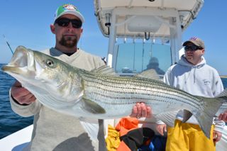 More Light Tackle Striped Bass Action - June 1, 2014