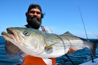 Race Point Bass Bite - June 25, 2014