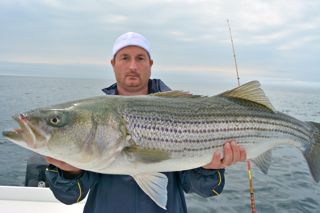 And the Bass Are Getting Bigger! - June 4, 2014