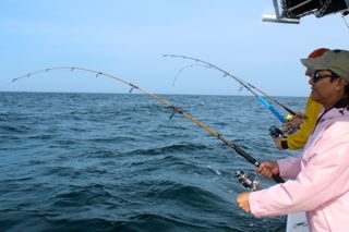 Reel Deal Fishing Charters! - July 1, 2014