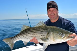 Topwater Striped Bass Action! - June 6, 2014