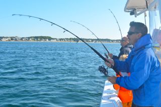 Truro Charter Fishing - August 9, 2014