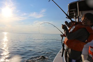 Tight Lines! - August 18, 2014