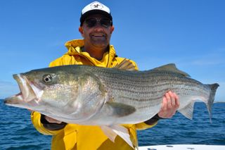 Another Great Fish on the Van Staal VM150 - June 11, 2014