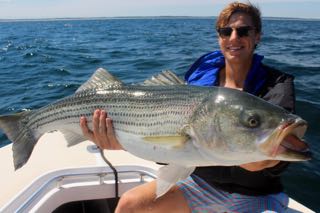 Striped Bass Fishing Charters - Early August 2015