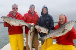 Striped Bass Fishing Charters - Mid August 2015