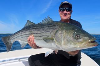 Striped Bass Fishing Charters - Mid August 2015