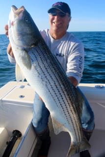 Striped Bass Fishing Charters - Early August 2015