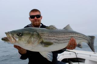 Fishing Charters, Cape Cod, MA