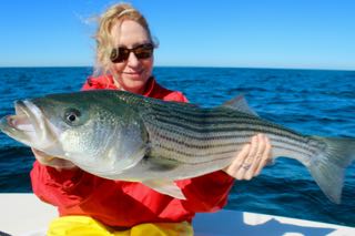 Fishing Charters, Cape Cod, MA