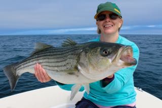 Cape Cod Fishing with Reel Deal - Late August 2015