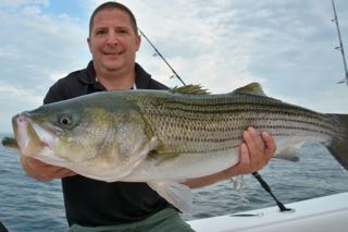 Cape Cod Fishing with Reel Deal - Late August 2015