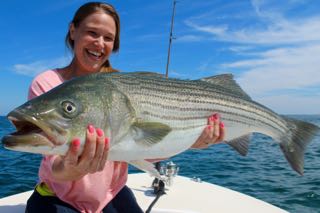 Cape Cod Fishing with Reel Deal - Late August 2015
